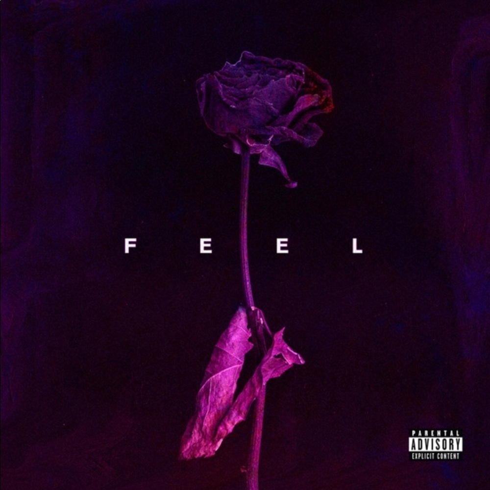 Meet your Posher, Isabelle